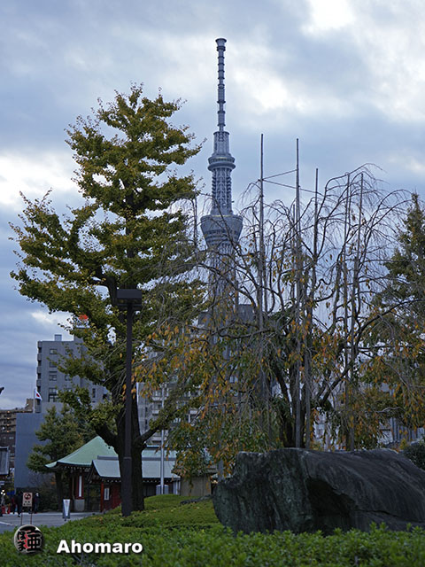 写真00