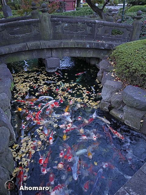 写真00