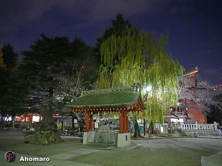 写真00