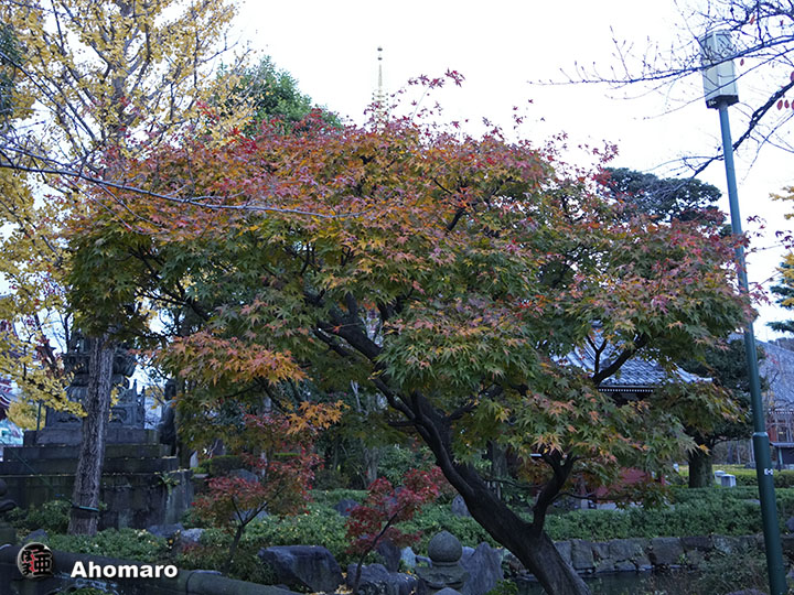写真00