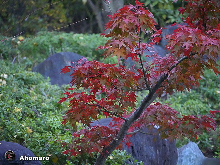 写真00