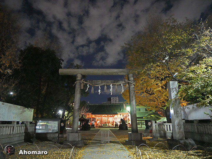 写真00