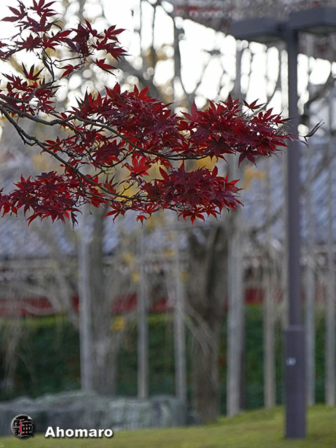 写真00