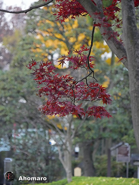 写真00