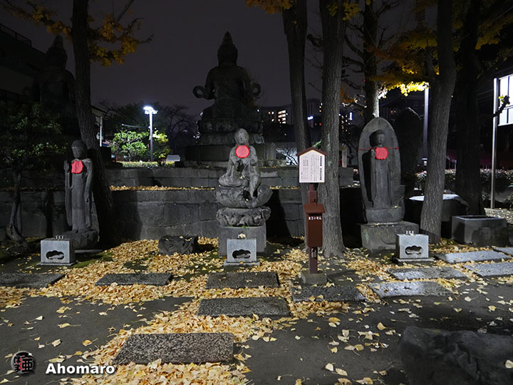 写真00