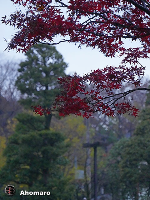 写真00