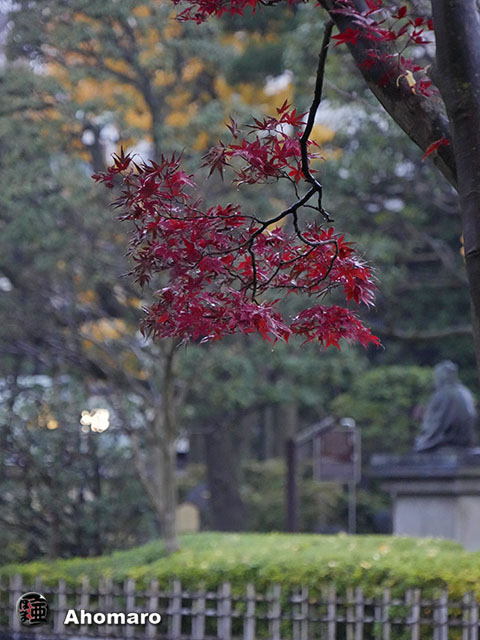 写真00