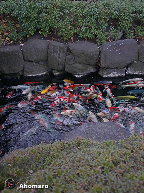 写真00