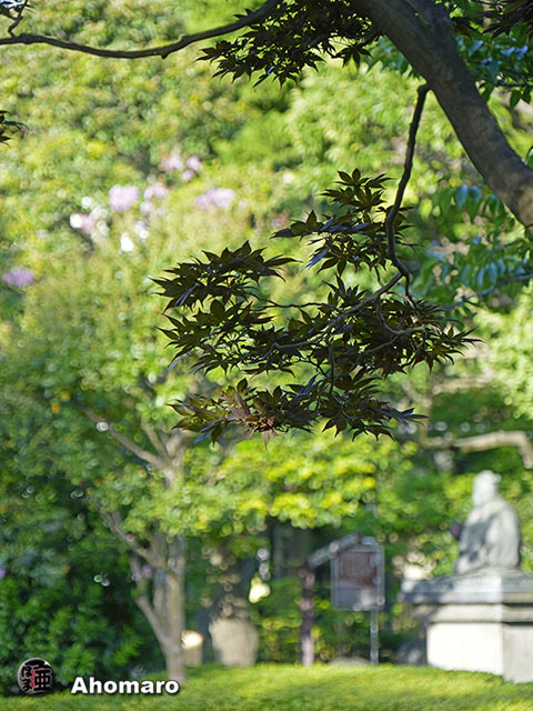 写真00