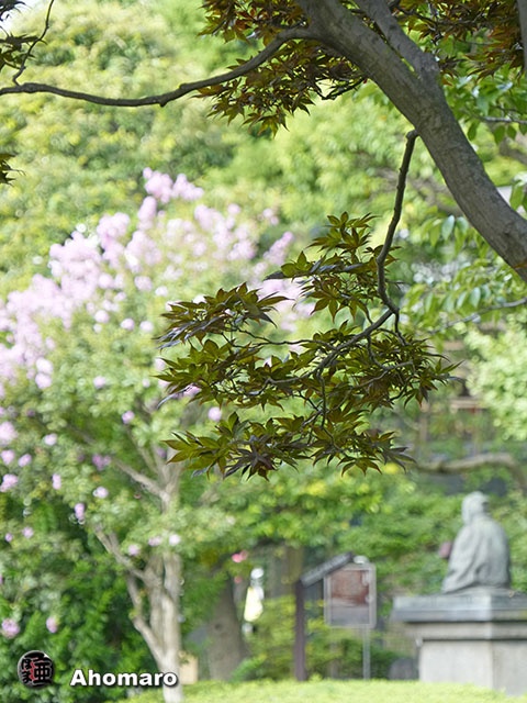 写真00