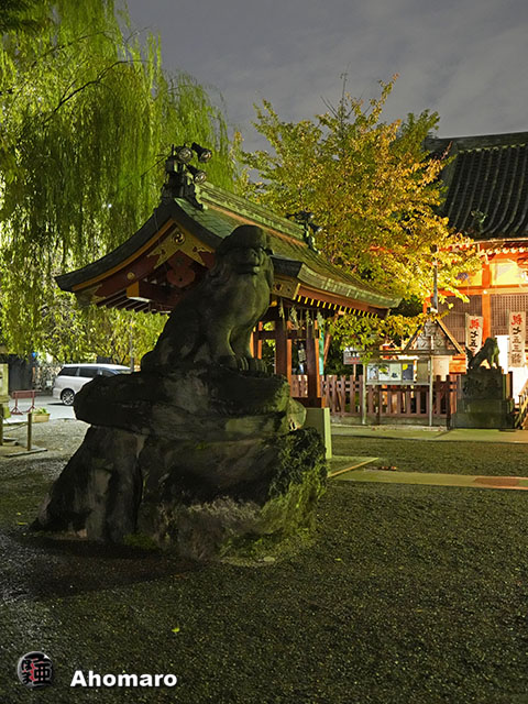 写真00