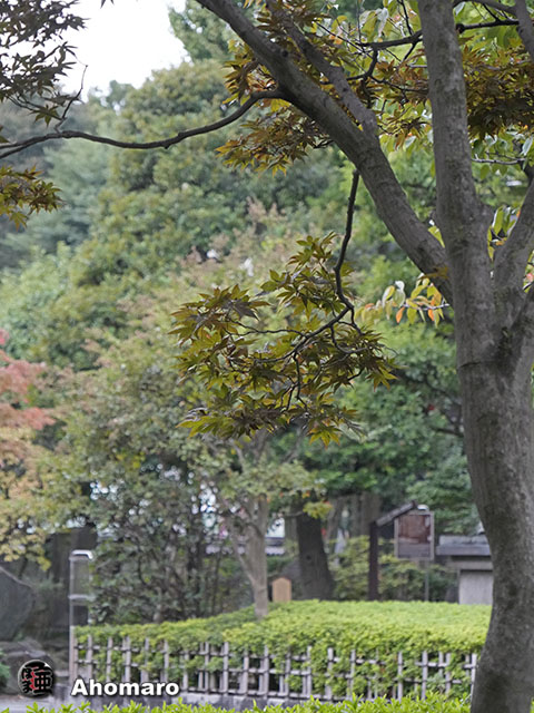 写真00