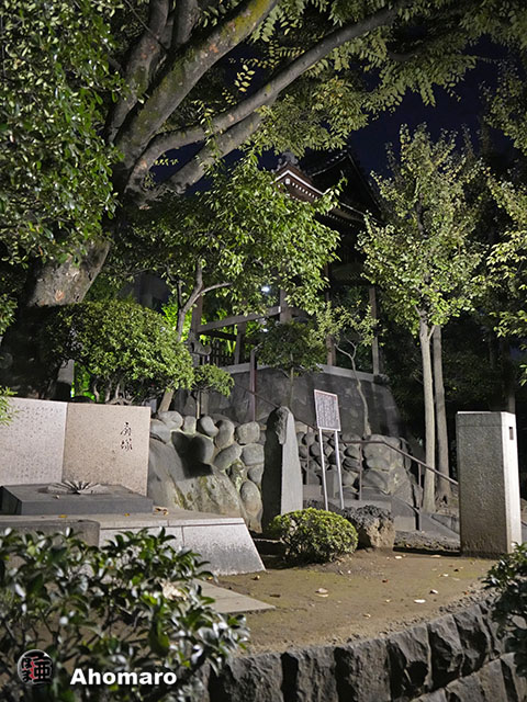 写真00