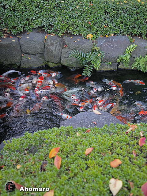 写真00