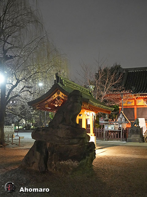 写真00
