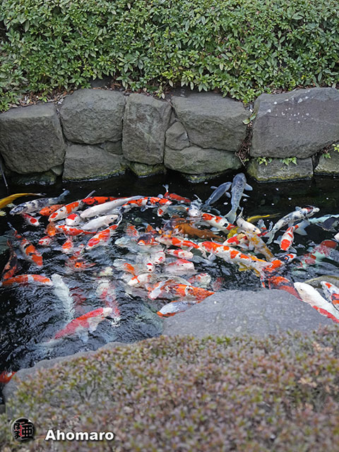 写真00