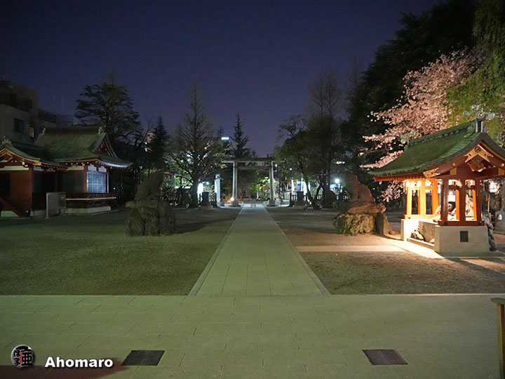 写真00
