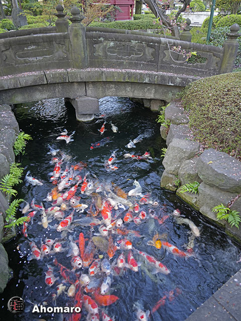 写真00