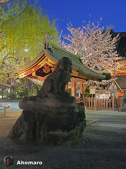 写真00