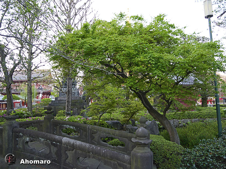 写真00