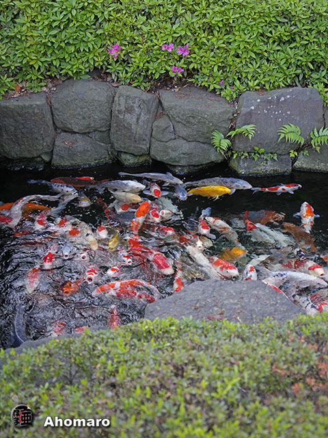 写真00