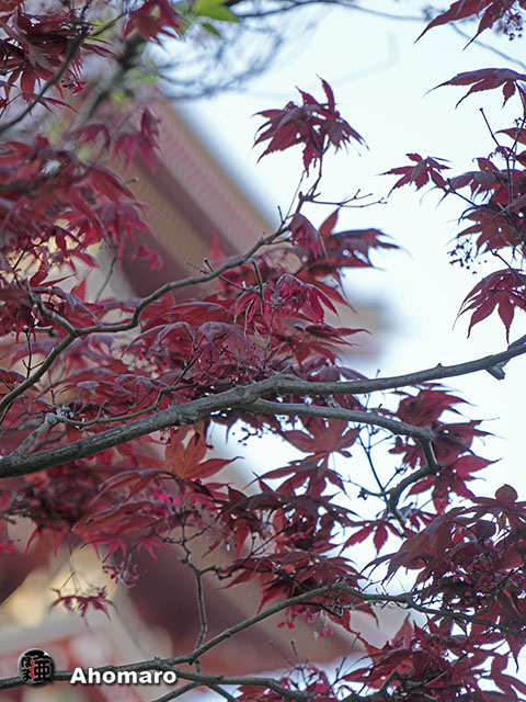 写真00