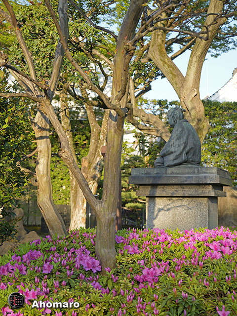 写真00
