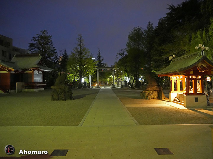 写真00