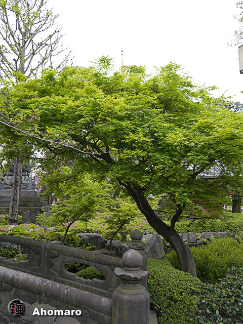 写真00