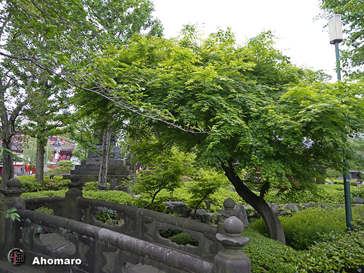 写真00