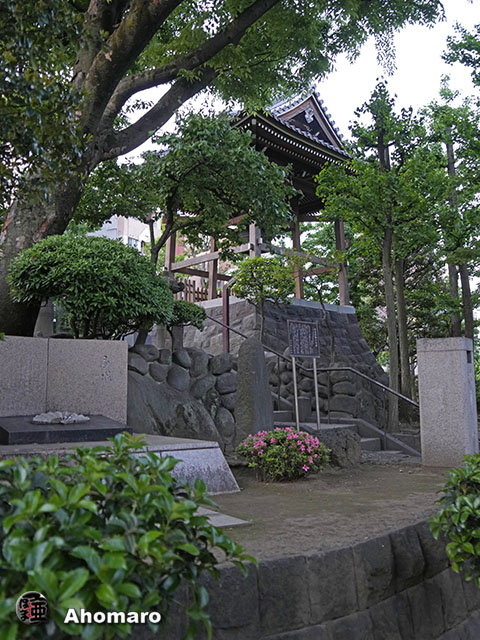写真00