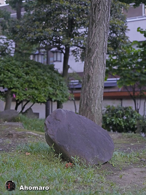 ʐ^00