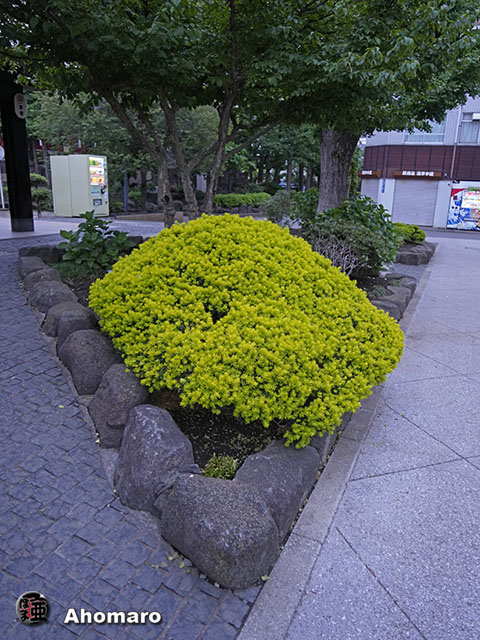 写真00