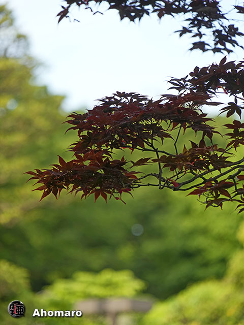 写真00