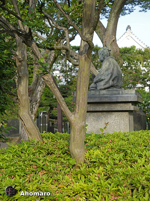写真00