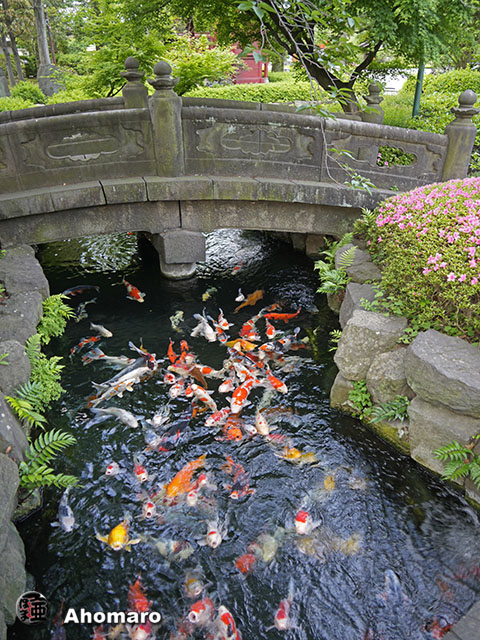 写真00