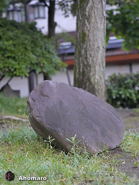 ʐ^00