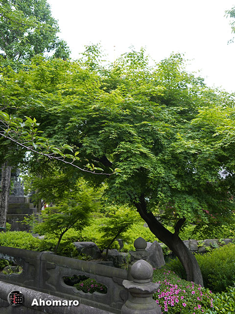 写真00