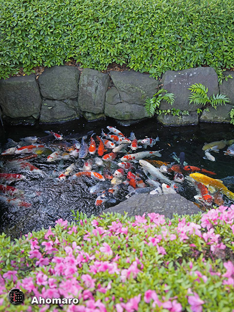 写真00
