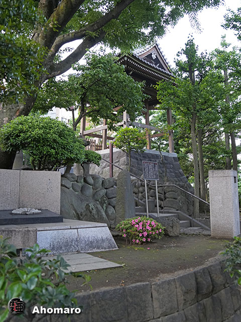 写真00