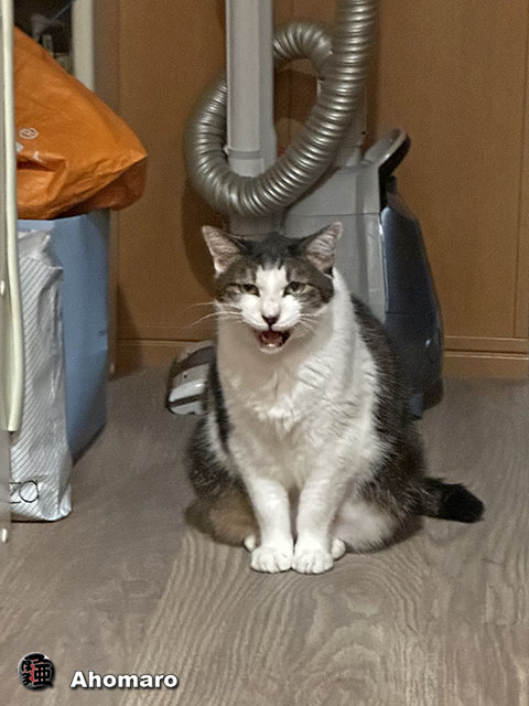 ʐ^00