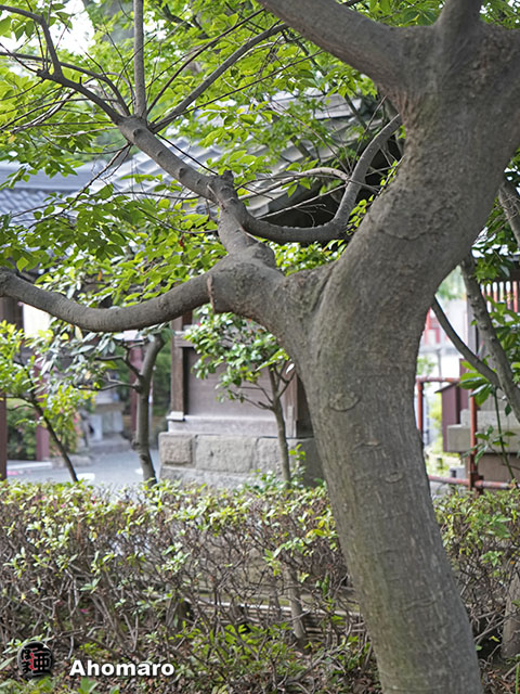 写真00
