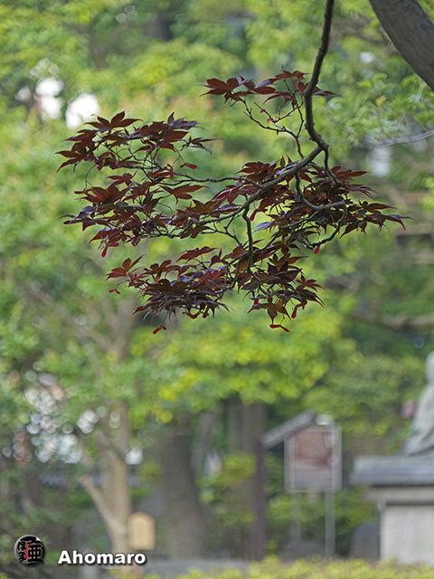 写真00