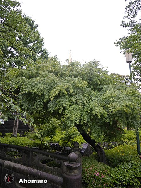 写真00