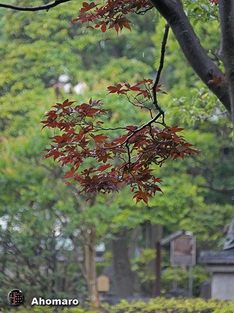 写真00