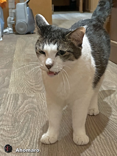 ʐ^00