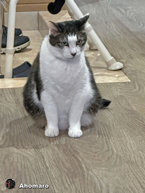 ʐ^00