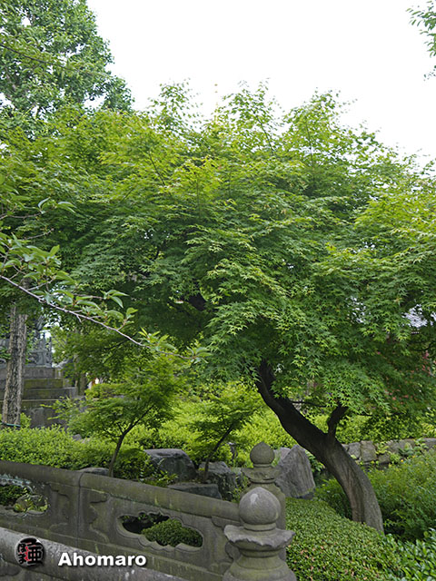 写真00