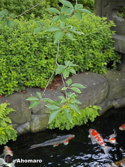 写真00