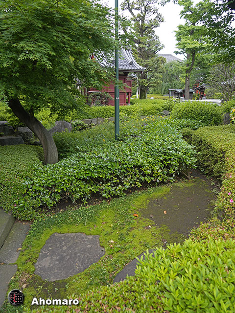 写真00